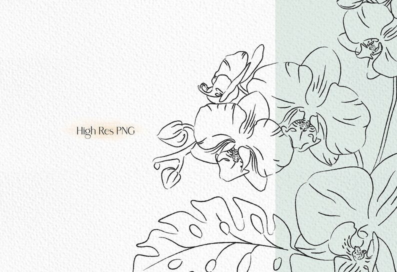 May include: Line art drawing of orchids with leaves. The orchids are in black and white and have a delicate, flowing design. The leaves are also in black and white and have a more textured look.