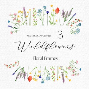 Aquarelle Fleurs sauvages Cadre clipart fleur cadre png botanique verdure cadres fleur sauvage mariage invitation cadres
