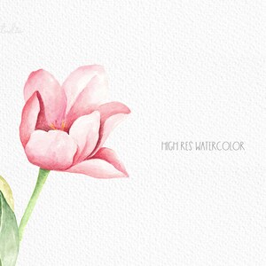 May include: A single pink tulip with a green stem and leaf. The flower is painted in a watercolor style on a white background. The text "HIGH RES WATERCOLOR" is written in black at the bottom right of the image.