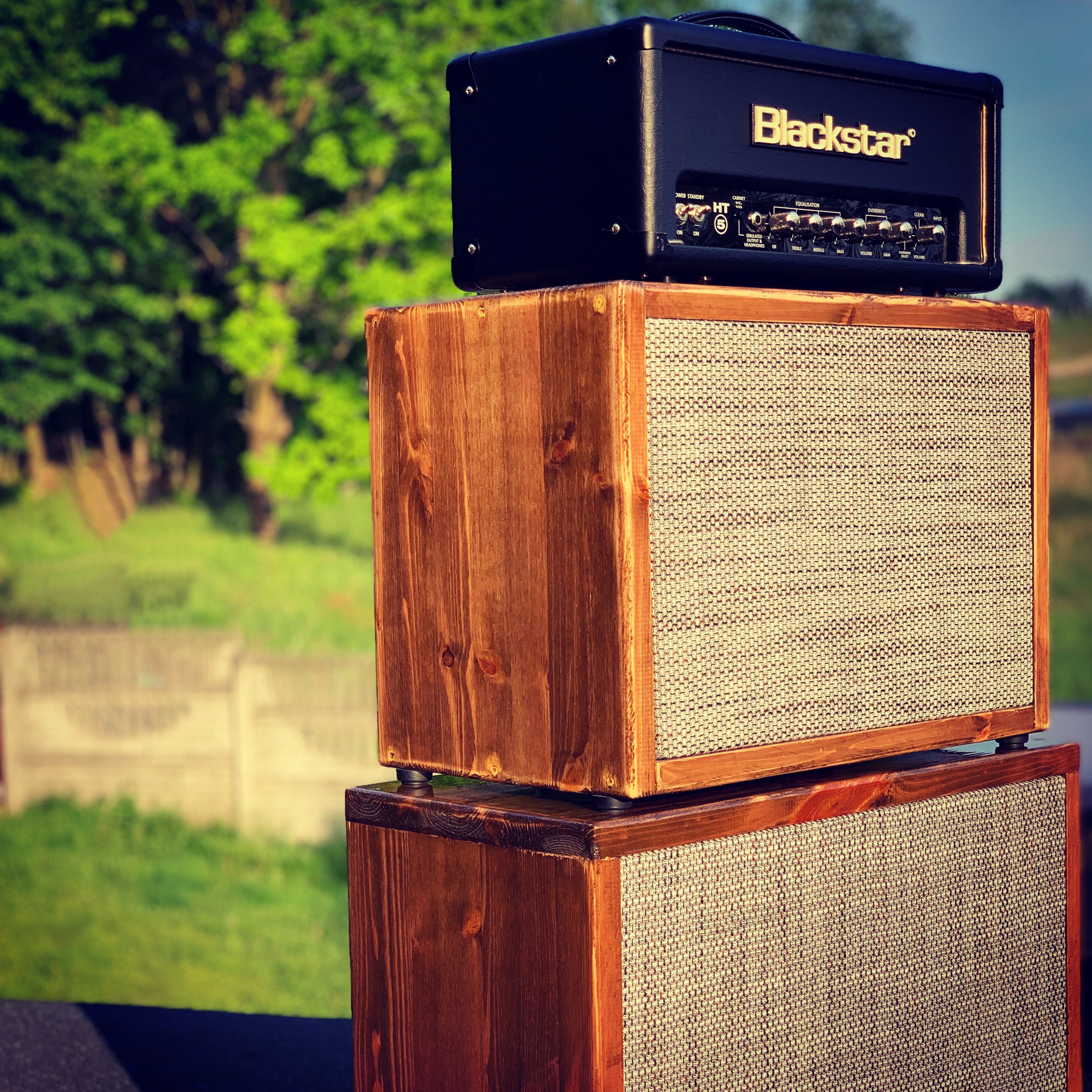 2x10 Guitar Speaker Etsy Canada