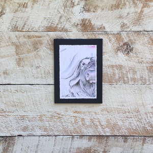 Cape Buffalo giclee print, Explore now