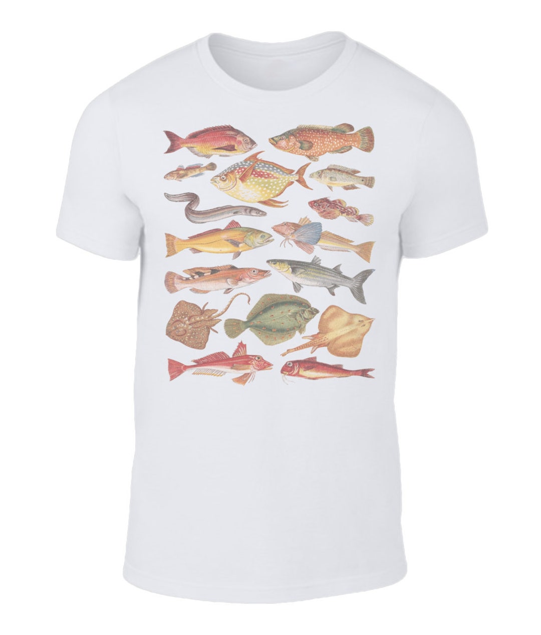 Vintage Sea Fish Species Illustration Anvil Fashion Basic T-shirt -   Canada
