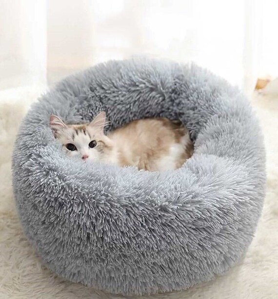 comfy dumpling cat bed
