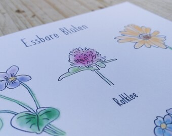 Descarga digital de postales