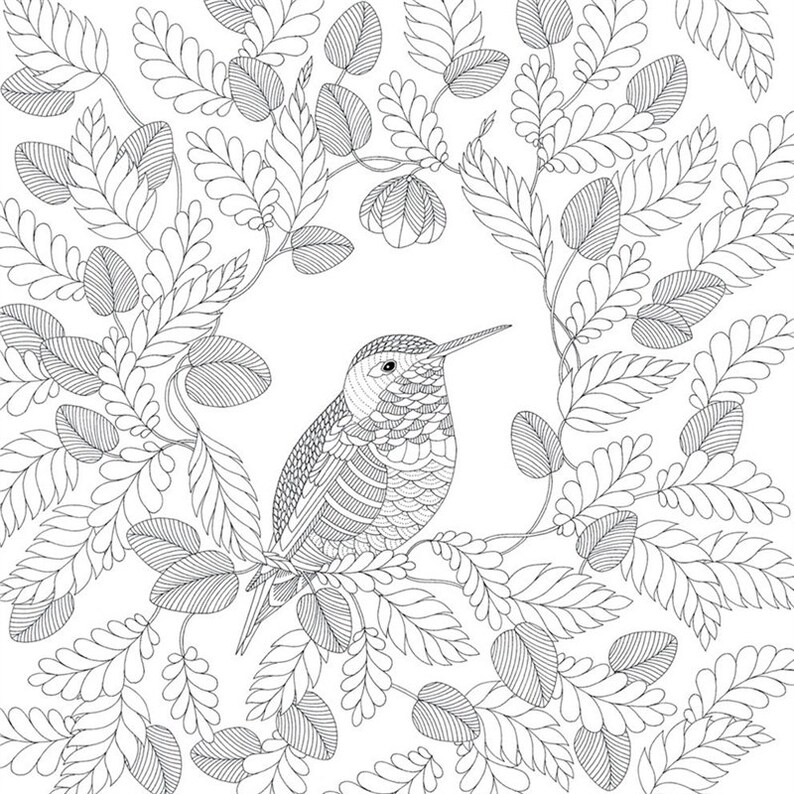 Download Paperback Couple Gifts English Ver Coloring Book Adult Decompression Graffiti Painting Coloring Book Toy Coloring Book Animal Kingdom Papercraft Paper Party Kids Puhlsphotography Com