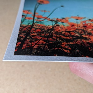 K&ouml;nnte beinhalten: Nahaufnahme eines gedruckten Fotos eines Feldes mit roten Blumen und blauem Himmel im Hintergrund. Das Foto ist auf strukturiertem wei&szlig;em Papier gedruckt.