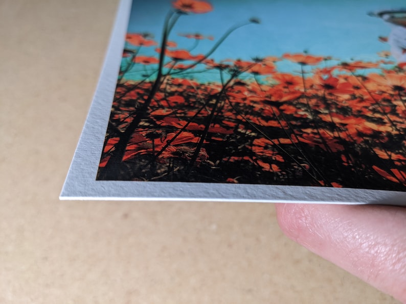 K&ouml;nnte beinhalten: Nahaufnahme eines gedruckten Fotos eines Feldes mit roten Blumen und blauem Himmel im Hintergrund. Das Foto ist auf strukturiertem wei&szlig;em Papier gedruckt.