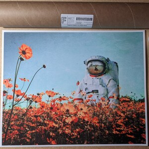 K&ouml;nnte beinhalten: Ein Astronaut in einem wei&szlig;en Raumanzug steht in einem Feld mit orangefarbenen Kosmosblumen. Das Visier des Astronauten spiegelt eine Szene einer Frau in einem roten Kleid wider, die durch ein Blumenfeld geht.