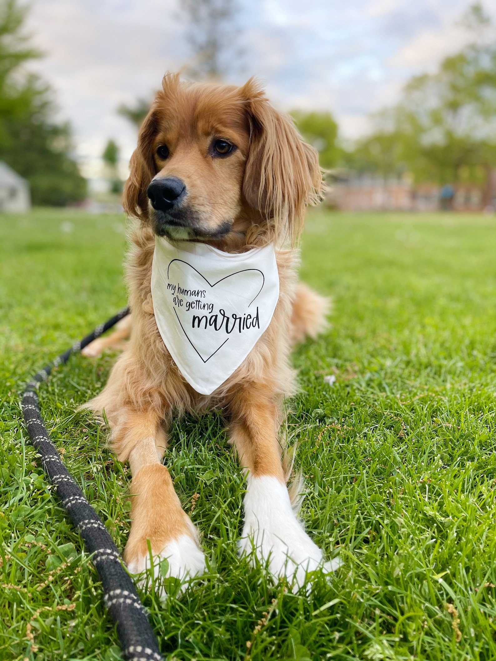 Wedding Dog Bandana Engagement Dog Bandana My Humans Are Etsy