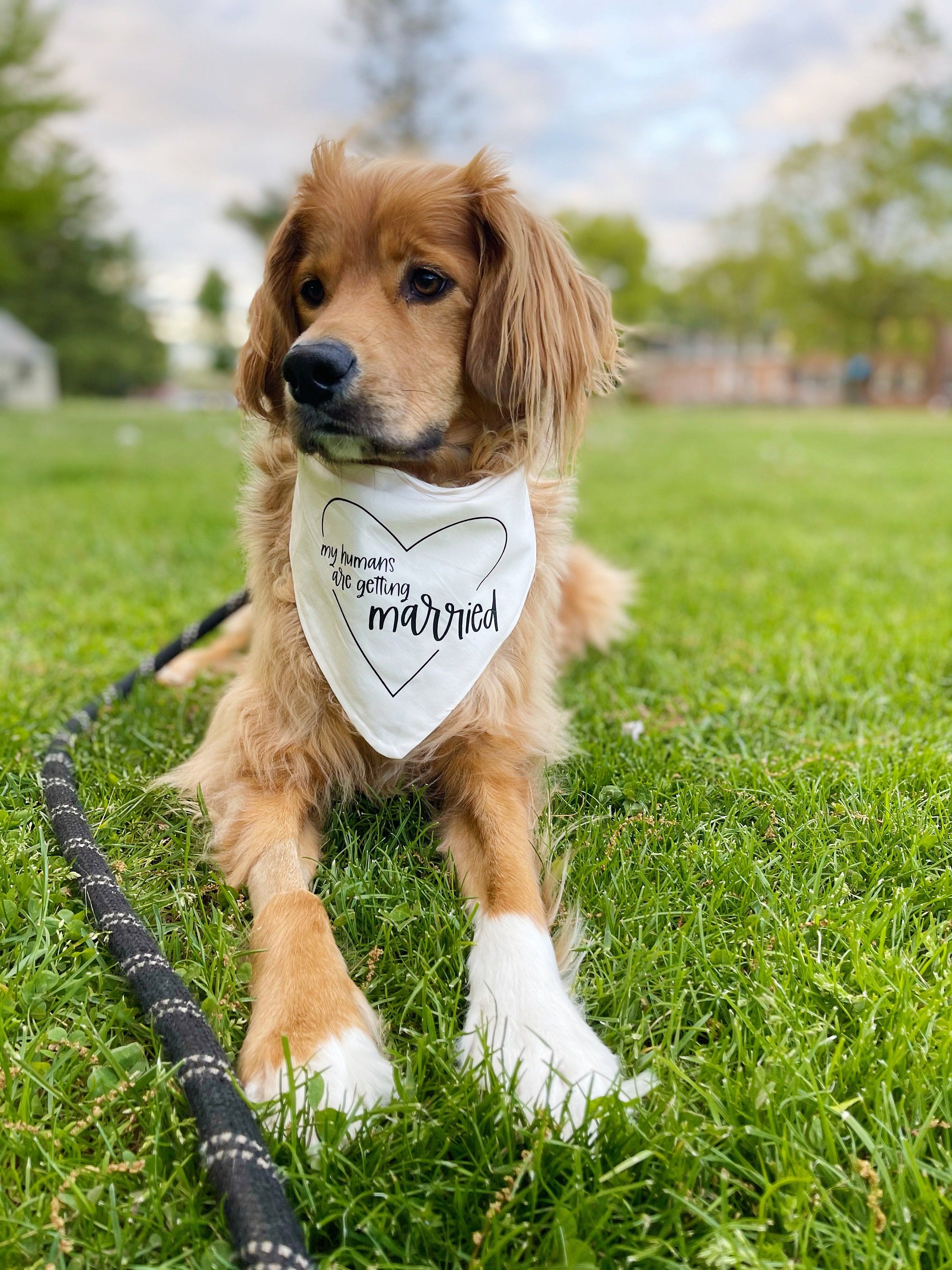 Wedding Dog Bandana | Engagement Dog Bandana | My humans are getting …