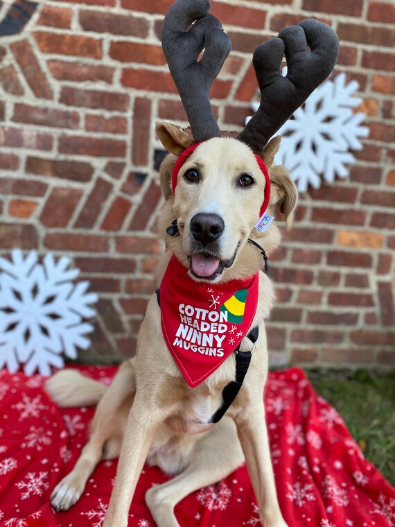 elf dog bandana