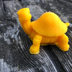 Turtle soap, 3 pieces, large, natural soap