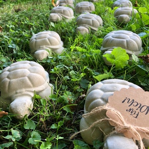 SCHILDKRÖTE aus Beton, Gartendeko, Geschenk