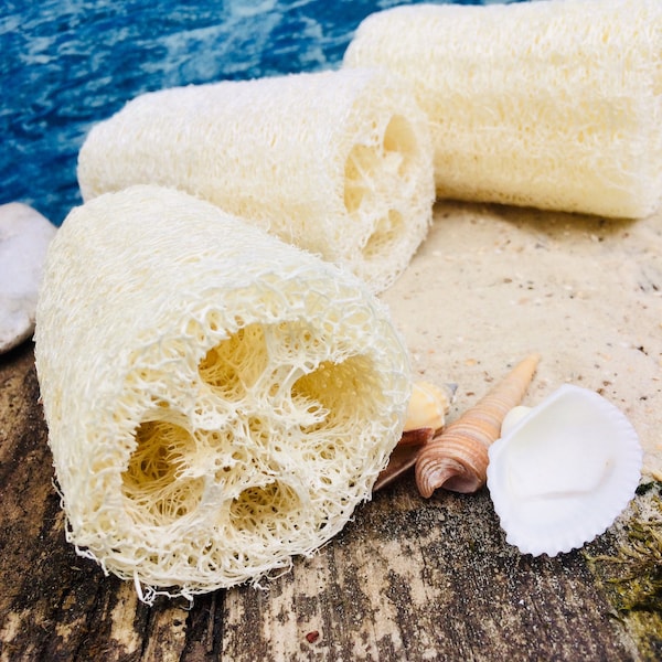 NATUR, Luffa Naturschwamm, Massage, Haushalt, Alleskönner