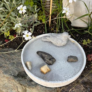 Può includere: Un bagno per uccelli rotondo in cemento grigio chiaro con una statuetta di uccello grigia scolpita sul bordo. La vaschetta contiene un sottile strato d'acqua con quattro pietre naturali distinte di varie dimensioni e colori, tra cui grigio scuro e beige.