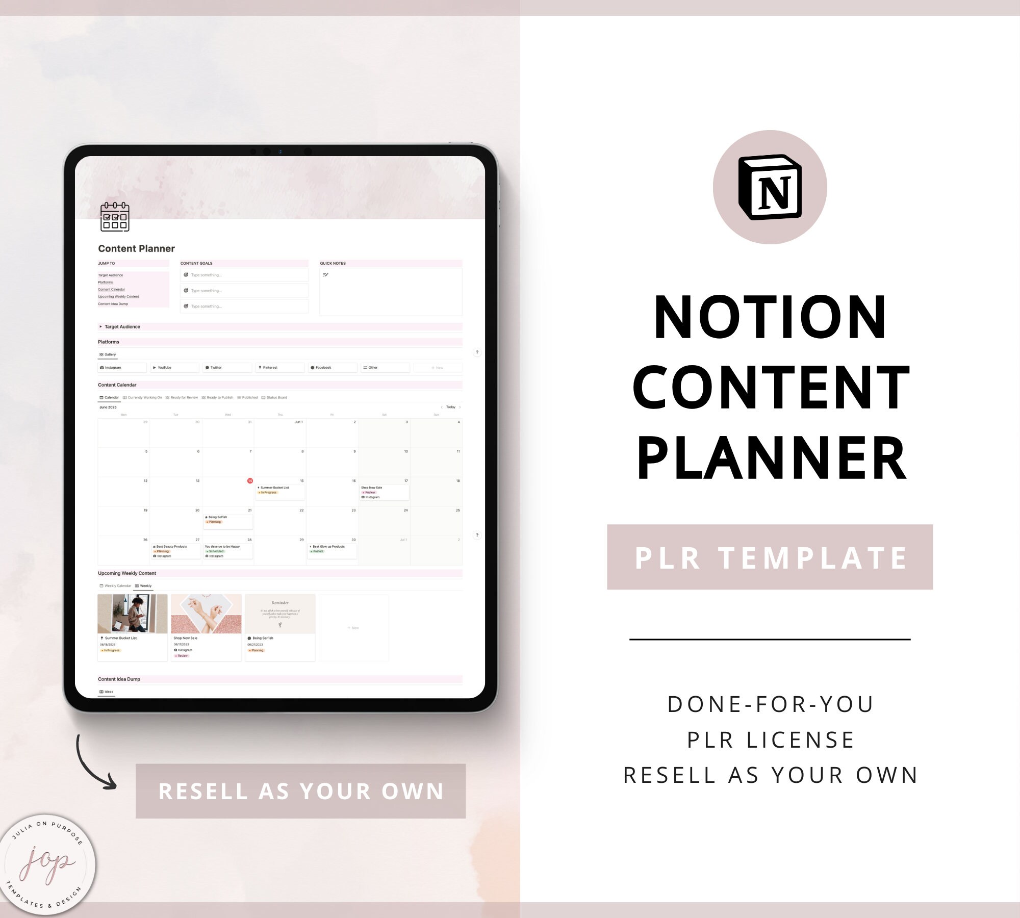 PLR Notion Content Planner Template - Resell Rights - Digital Content Planner - Notion Dashboard - Editable Template - PLR Products