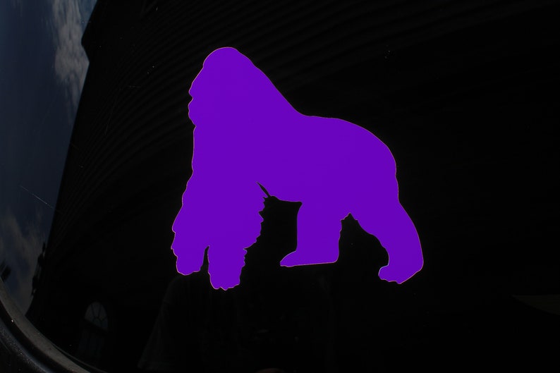 angry gorilla hits window angry gorilla hits window