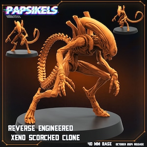 May include: A 3D printed, orange-coloured, detailed miniature of an alien creature with a long tail and a segmented spine. The miniature is posed in a crouched position with its head turned to the side. The miniature is on a 40 mm base. The text "REVERSE ENGINEERED XENO SCORCHED CLONE" is printed below the miniature.