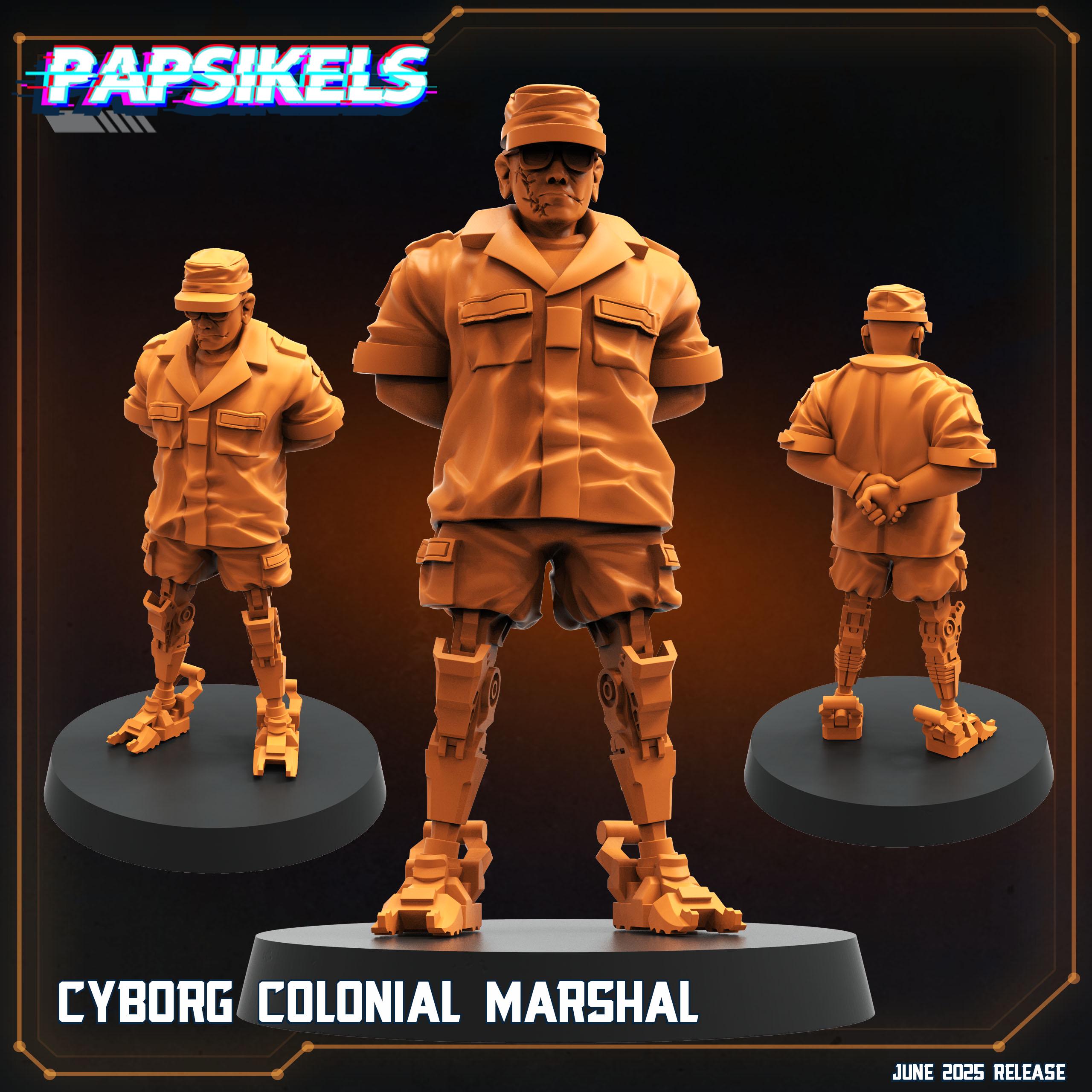 Cyborg Colonial Marshal Miniature: 28mm Sci-fi RPG Figurine - Papsikels ...
