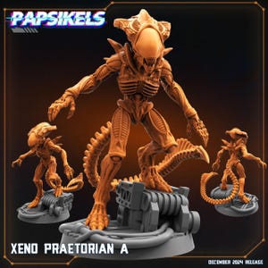Può includere: Una miniatura stampata in 3D di un Praetorian Xenomorfo del franchise Alien. La figura è dipinta in un colore marrone chiaro e ha una scultura dettagliata. La figura è in piedi su una base con una superficie testurizzata. Il testo "XENO PRAETORIAN A" è stampato sulla base. Il testo "DECEMBER 2024 RELEASE" è stampato nell'angolo in basso a destra dell'immagine.