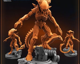 May include: A 3D printed miniature of a Xenomorph Praetorian from the Alien franchise. The figure is painted in a light brown color and has a detailed sculpt. The figure is standing on a base with a textured surface. The text "XENO PRAETORIAN A" is printed on the base. The text "DECEMBER 2024 RELEASE" is printed on the bottom right corner of the image.
