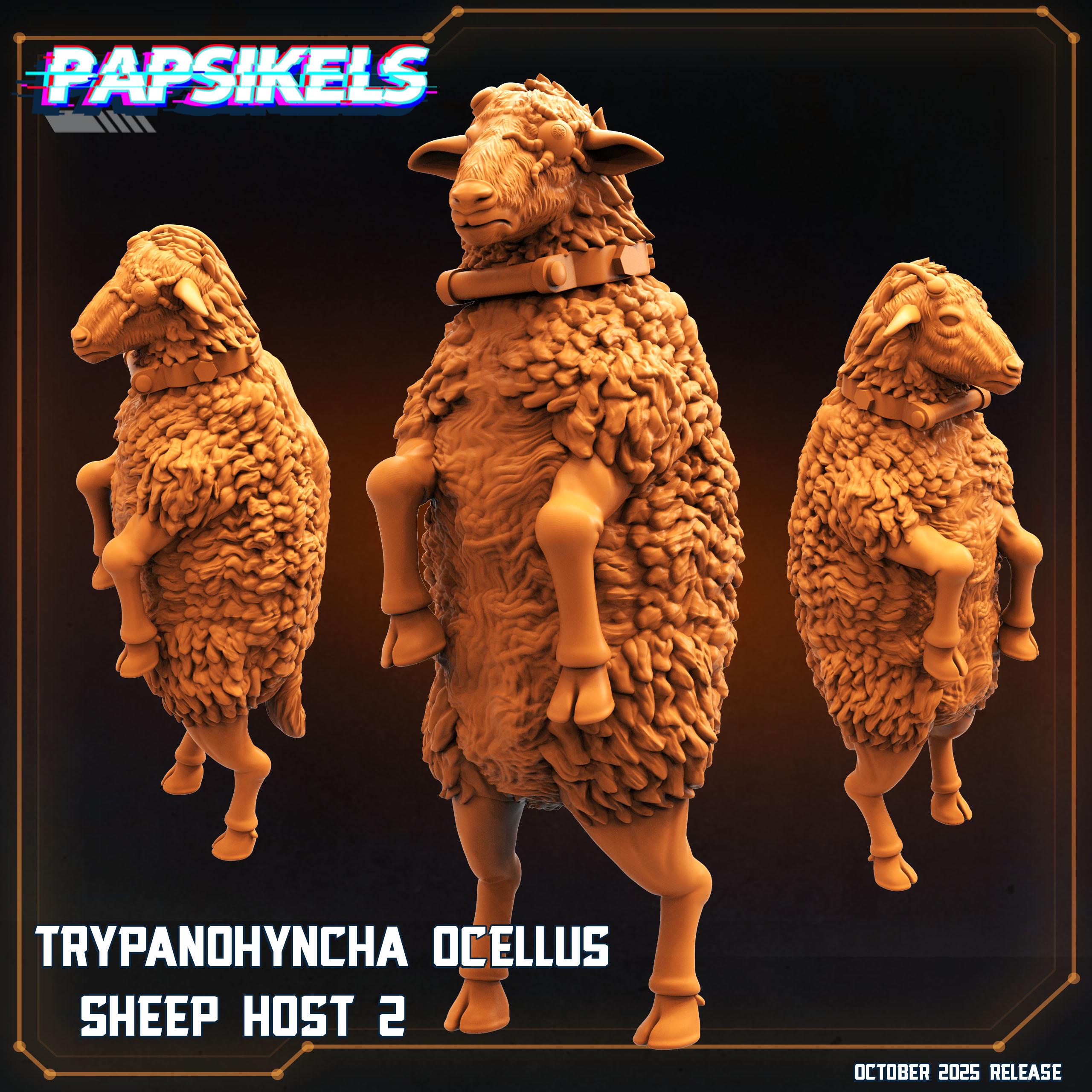 Trypanohyncha Ocellus (t.ocellus) Sheep Host | 28 Mm / 32 Mm Scale ...