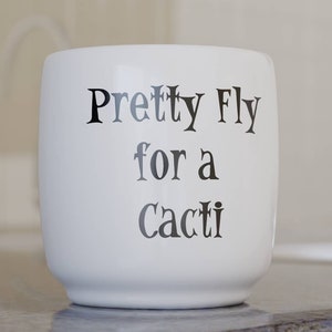 Pretty Fly for a Cacti, Vinyl Decal, Plant Pot / Container Decoration and Customization, Song Parody, DIY Application with Instructions