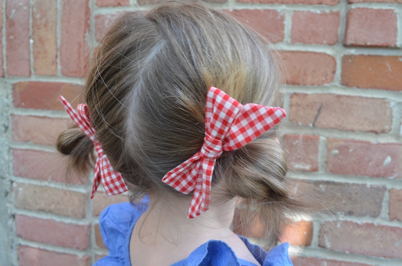Schoolgirl Red Gingham Pigtail Set of 2
