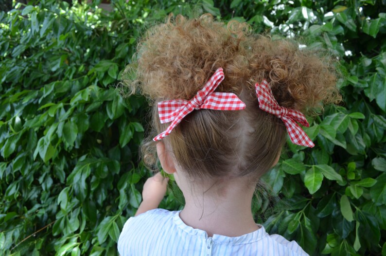 Schoolgirl Red Gingham Pigtail Set of 2