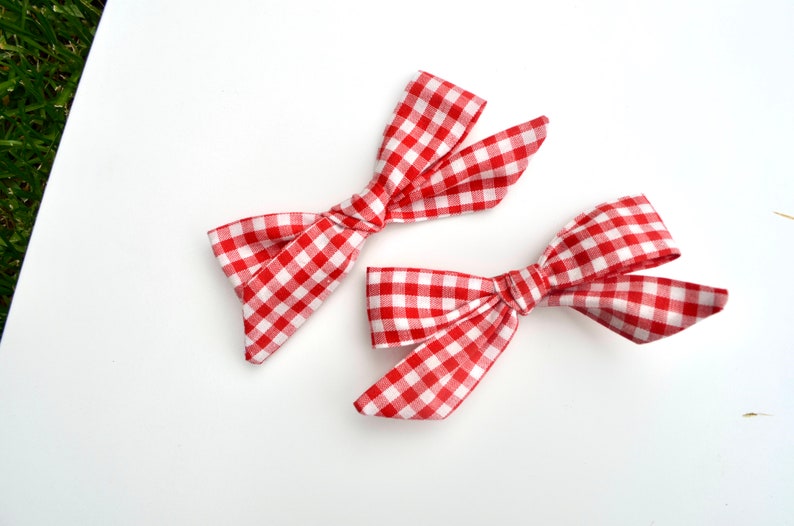Schoolgirl Red Gingham Pigtail Set of 2