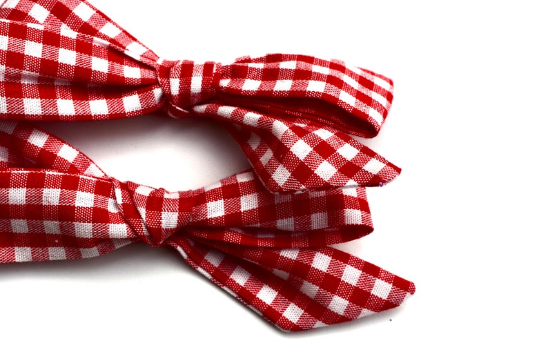 Schoolgirl Red Gingham Pigtail Set of 2