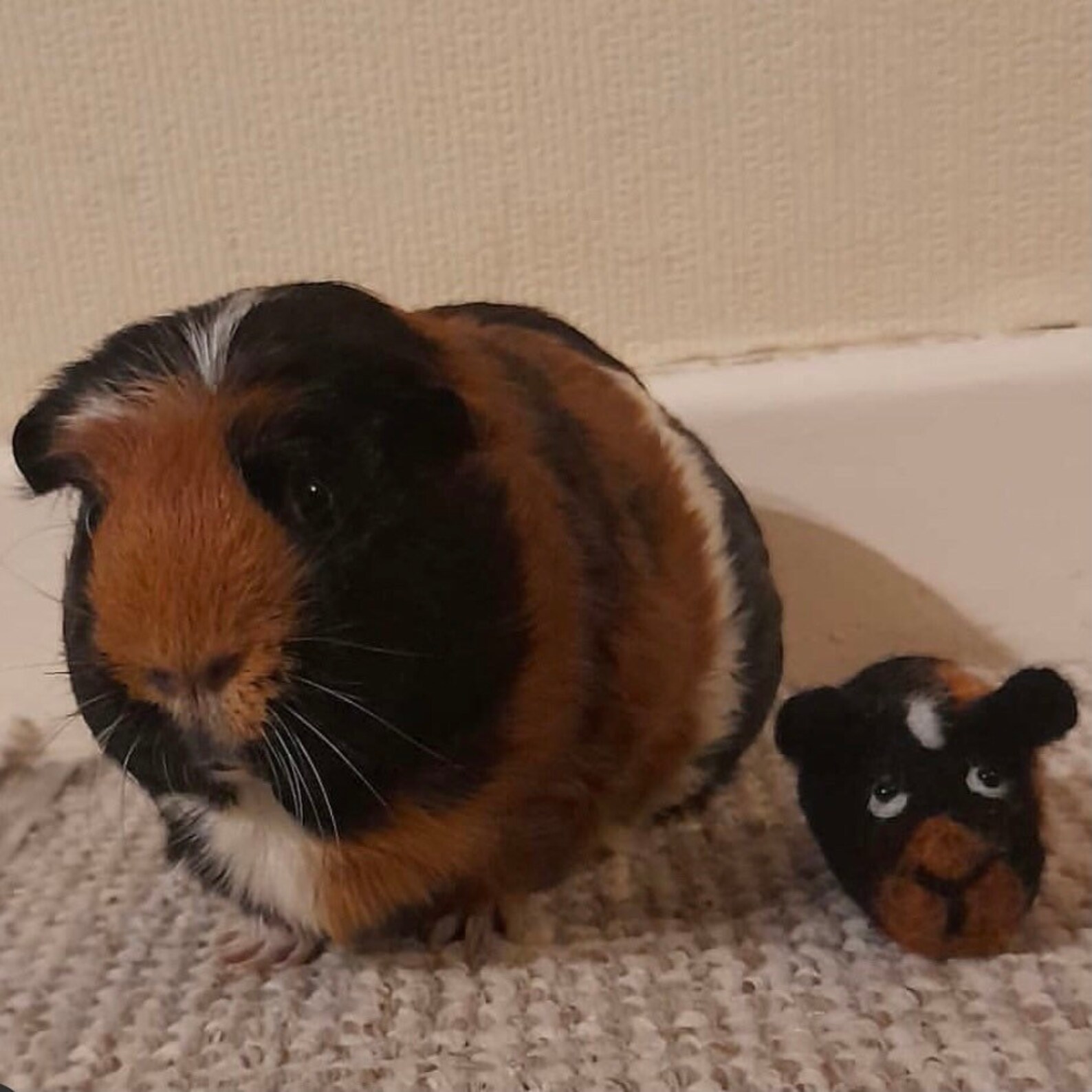 Needle Felt Guinea Pigs Guinea Pig Plush Etsy
