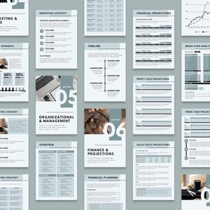Pu&ograve; includere: Un modello di business plan con sette sezioni: Marketing e vendite, Ricerca di mercato, Organizzazione e gestione, Finanza e proiezioni, Pianificazione finanziaria, Proiezioni finanziarie e Proiezione triennale. Ogni sezione include un titolo, una breve descrizione e una tabella o un grafico.
