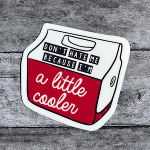 Don’t Hate Me Because I’m A Little Cooler | Laptop Sticker | Water Bottle Sticker | Journal Sticker | Funny Sticker | Meme Sticker