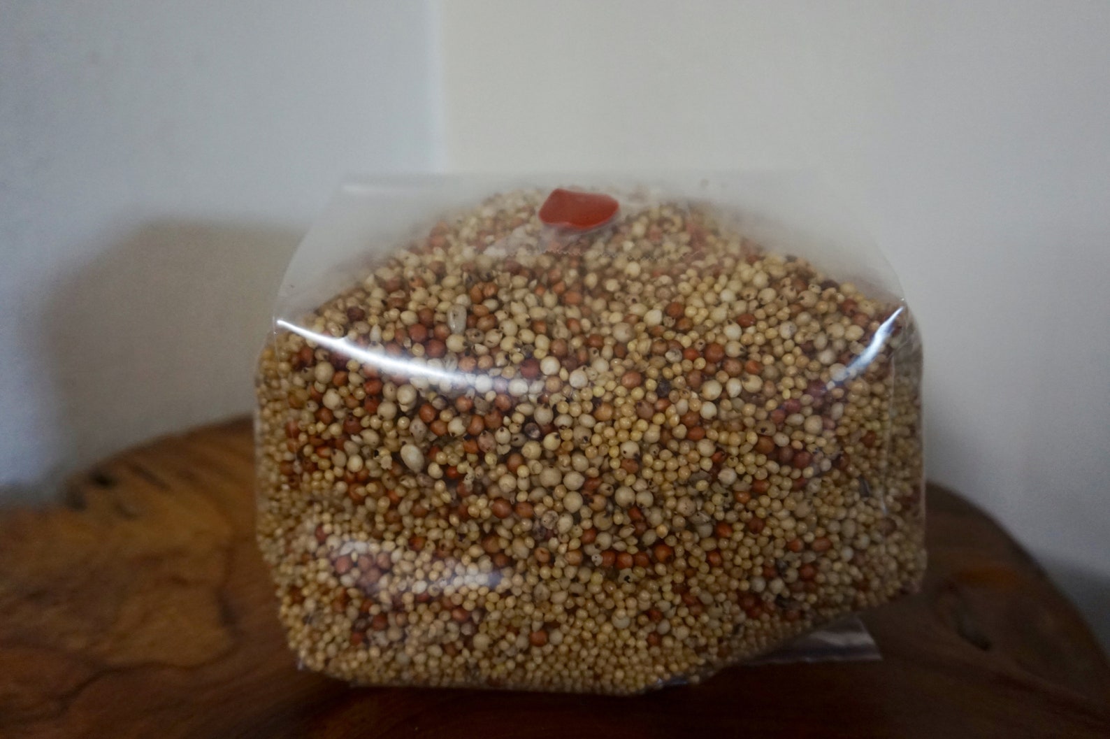 3lbs Spawn Bag Millet/Milo premium nutrient enriched grains. Etsy