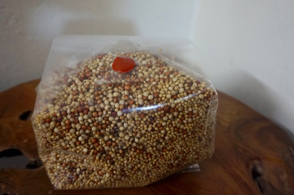 Mushroom Grow Bags 10 for Mycology. Spawn/ Grow Bags W/ Etsy
