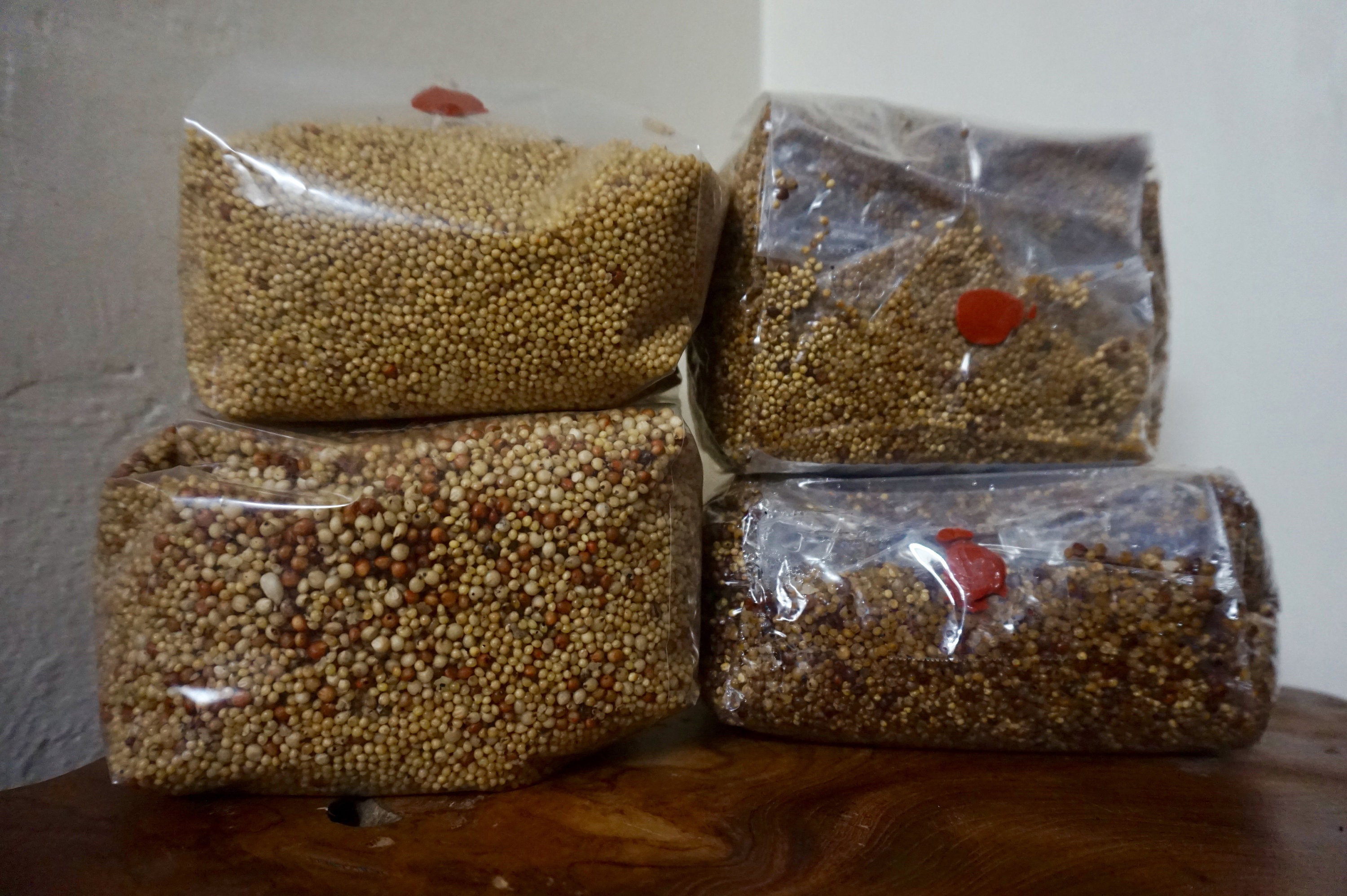 3lbs Spawn Bag Millet/Milo premium nutrient enriched grains. Etsy