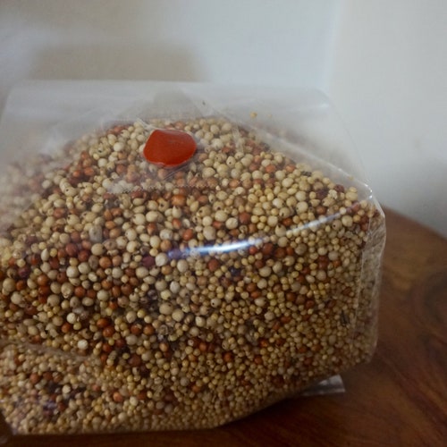 Premium better Than Rye Grain Spawn Essential Etsy