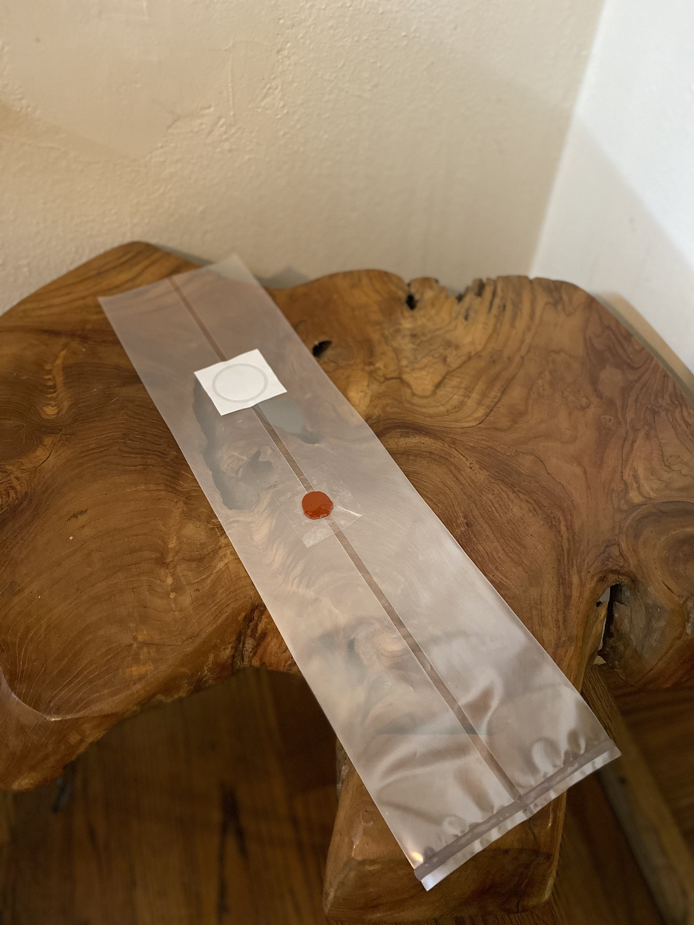 Mushroom Grow bags 20 for mycology.W/ INJECTION PORT Etsy