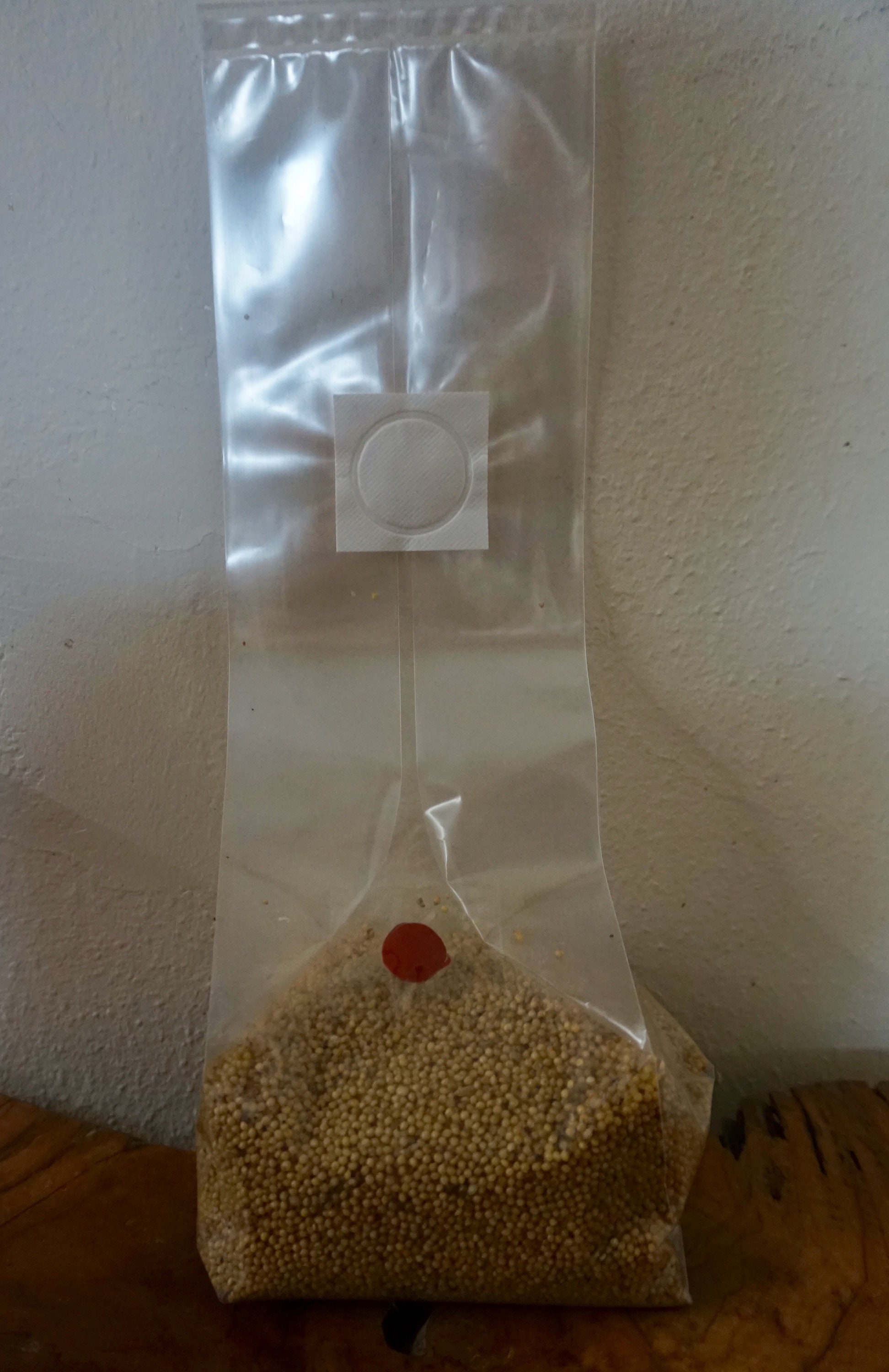 Mushroom Grow bags 10 for mycology. Spawn/ Grow Bags w/ Etsy