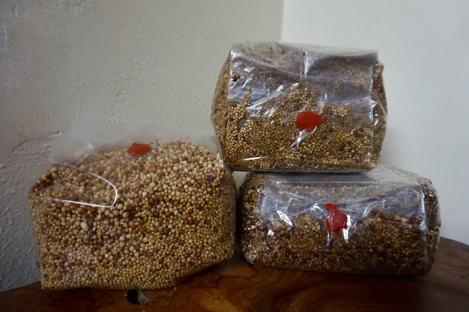 Mushroom Grow Bags 20 for Mycology.w/ INJECTION PORT Etsy
