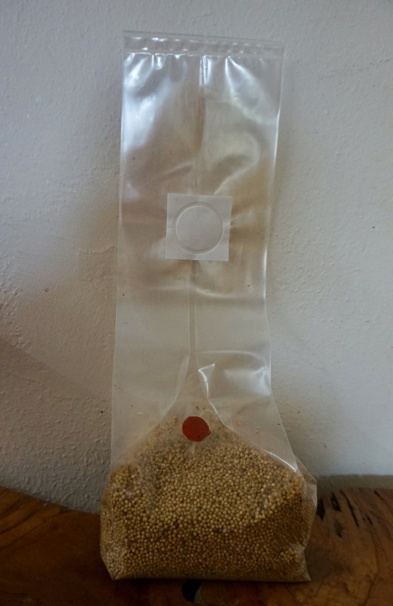 Mushroom Grow bags 20 for mycology. Spawn/ Grow Bags Etsy