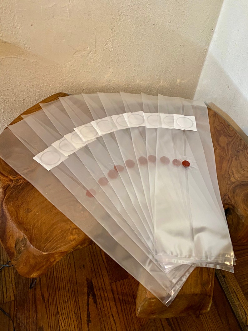 Mushroom Grow Bags 20 for Mycology.w/ INJECTION PORT Etsy