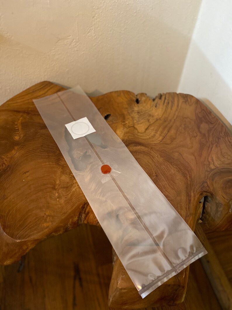 Mushroom Grow bags 10 for mycology.W/ INJECTION PORT Etsy