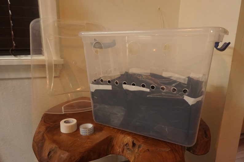 Mono Tub Kit for Mushroom Growing Includes Liner Lid Etsy UK