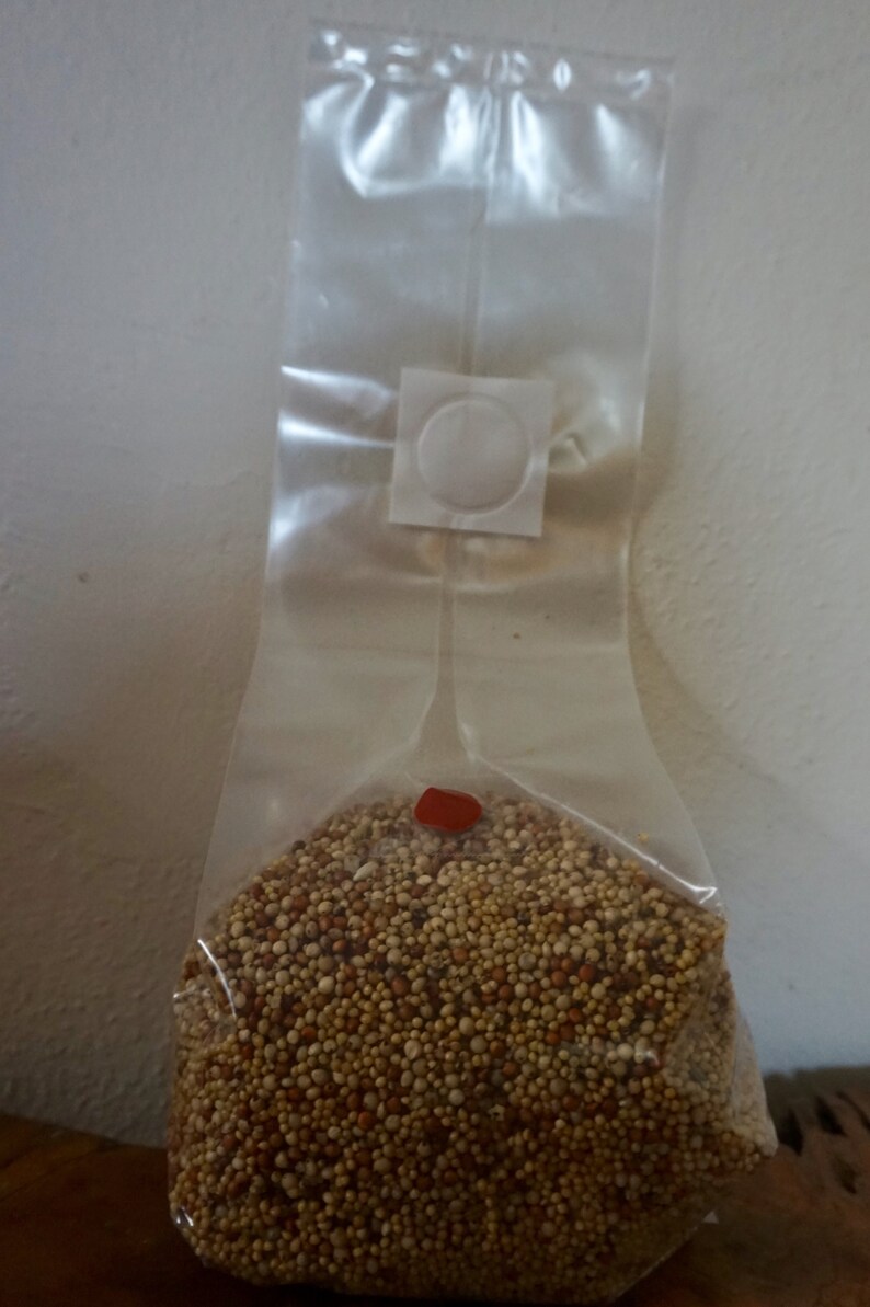 3lbs Spawn Bag Millet/Milo premium nutrient enriched grains. Etsy