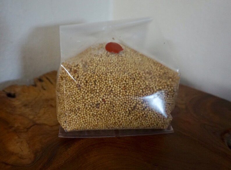Mushroom Grow Bags 10 for Mycology. Spawn/ Grow Bags W/ | Etsy