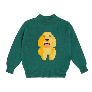Op de afbeelding: Een groene gebreide trui met een gele hond geborduurd op de voorkant.