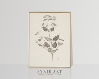 Vintage Botanical Drawing, Neutral Floral Sketch Art, Minimalist Antique Digital PRINTABLE #359