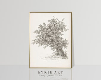 Antique Neutral Tree Sketch Print, Vintage Nature Drawing Art, Country Farmhouse Digital PRINTABLE #372